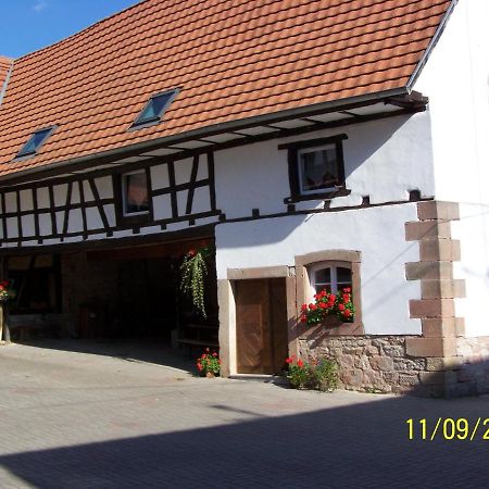 Gite Rue De L'Ange Hunspach Esterno foto