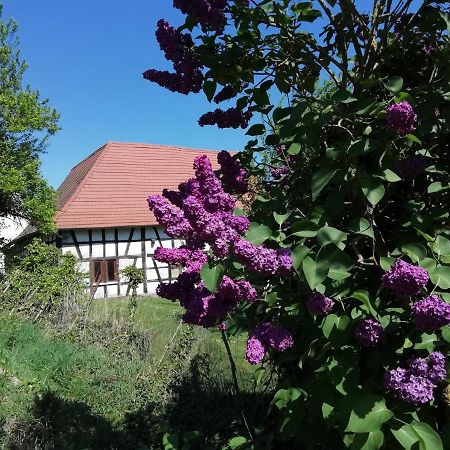 Gite Rue De L'Ange Hunspach Esterno foto