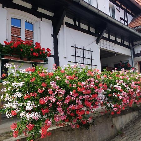 Gite Rue De L'Ange Hunspach Esterno foto