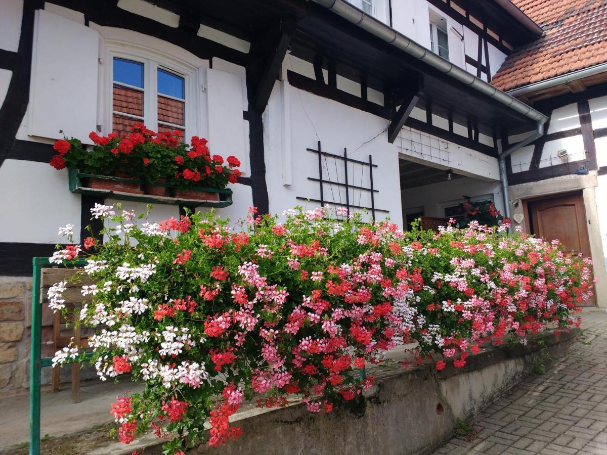 Gite Rue De L'Ange Hunspach Esterno foto