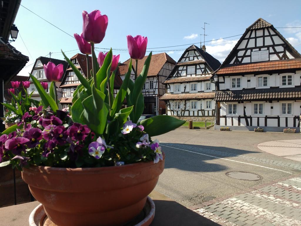 Gite Rue De L'Ange Hunspach Esterno foto